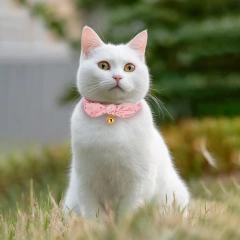 Cotton Bowtie Cat Collar with Bell 2 Pack Adjustable Breakaway Kitten Collars Pink Green Removable Bow Cat Necklace for Cats Pet
