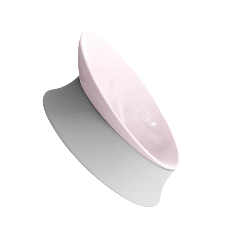Tilted Neck Protection Cat Bowl For Healthy Eating Easy To Clean Smooth And Easy To Clean Cat Tray