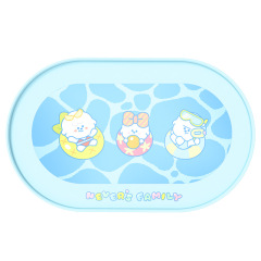 Pet silicone placemats