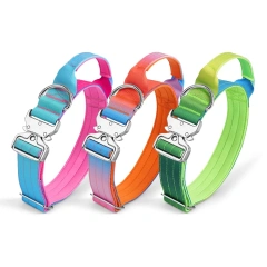 Fashionable Gradient Dog Collar Macaron Color New Pet Collars with Quick Release Metal Buckle Tactical Dog Collar with Handle
