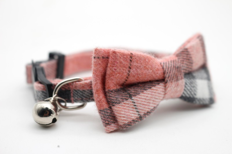 Cat safety collar