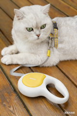 Pet leash