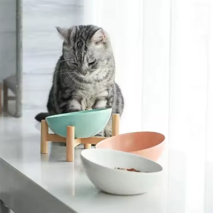 Ceramic Cat Food Bowl with Protection Cervical Slant Design Rounded Shape for Dogs & Cats Indoor Use