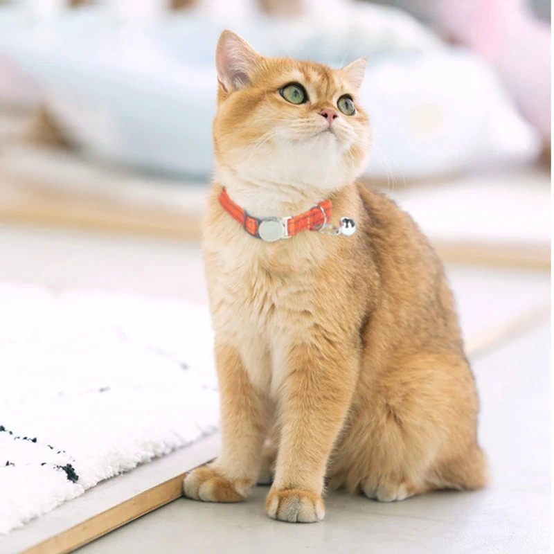 Custom Pet Collars Metal Buckle Nylon Reflective Cat Collar Engravable ID Nameplate Anti-lost Pet Tag Collars