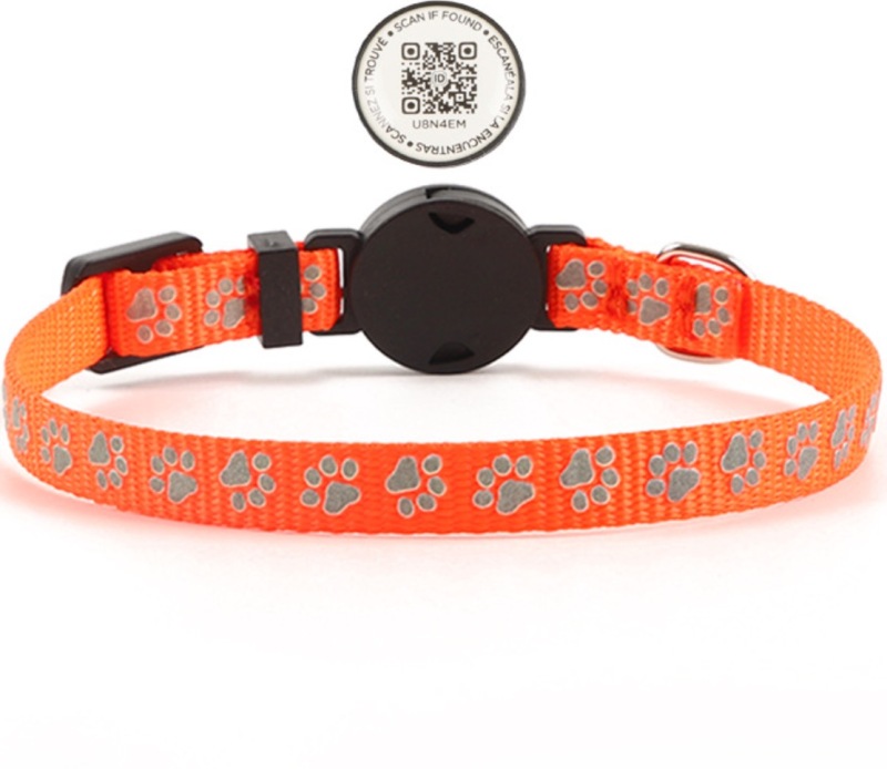 Paw ID Tags Durable Print Anti-Loss Tracking for cat
