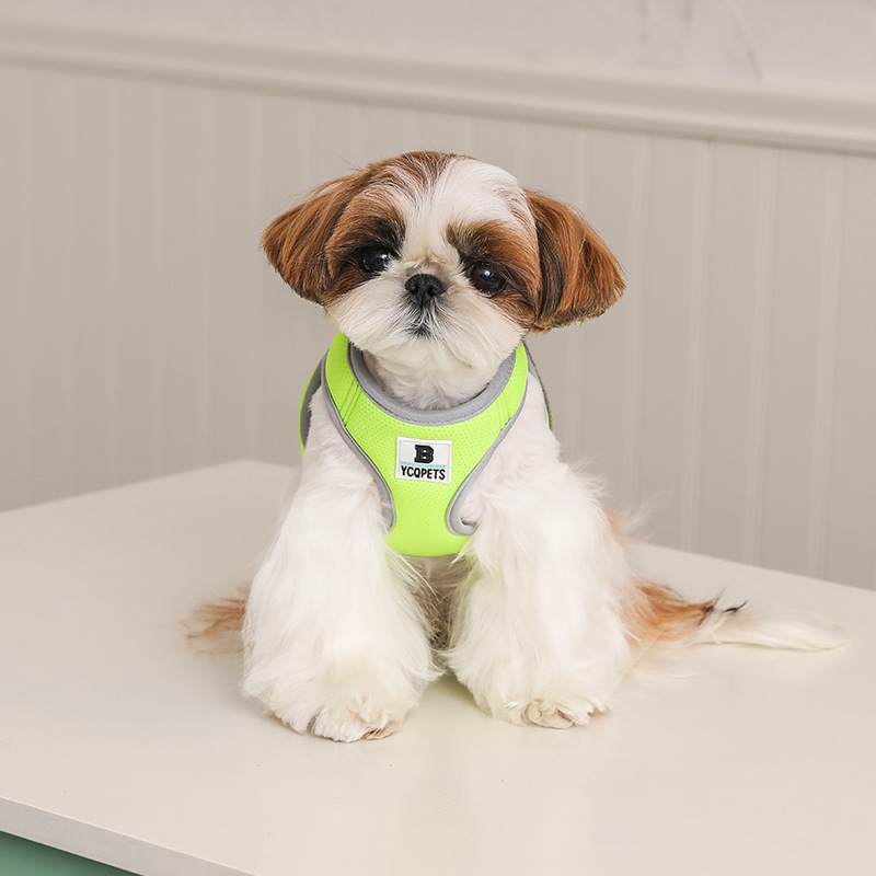 Small dog and cat harness
