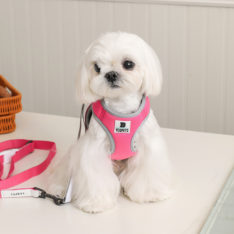 Small dog and cat harness