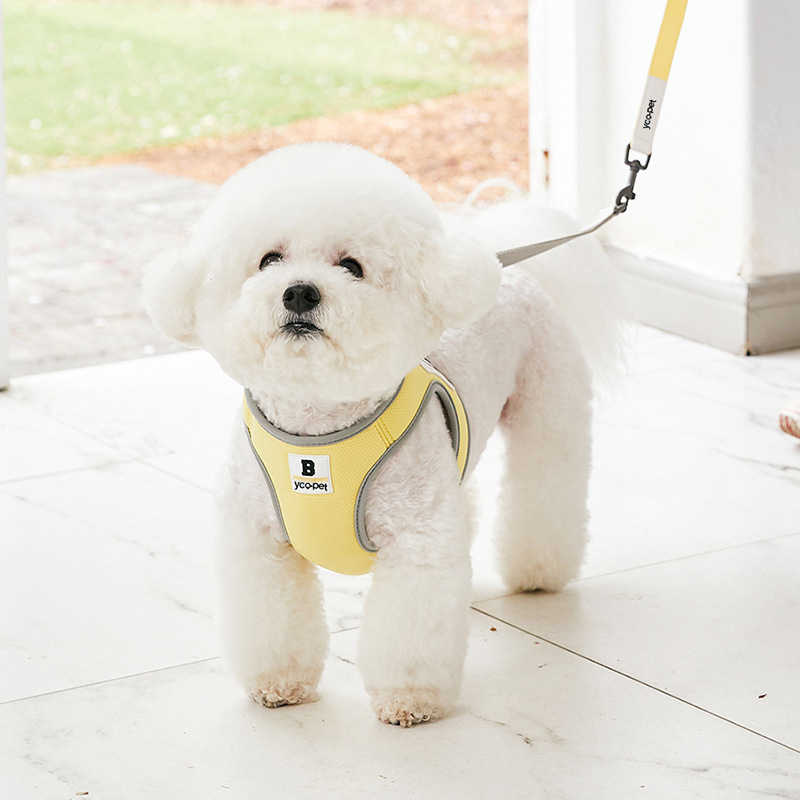 Small dog and cat harness