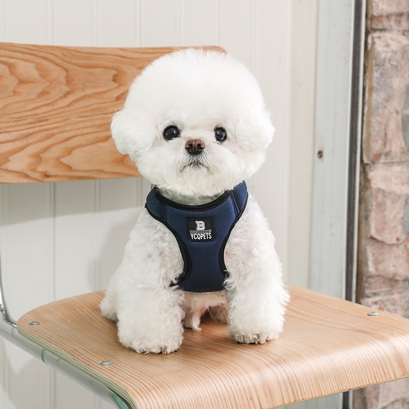 Small dog and cat harness