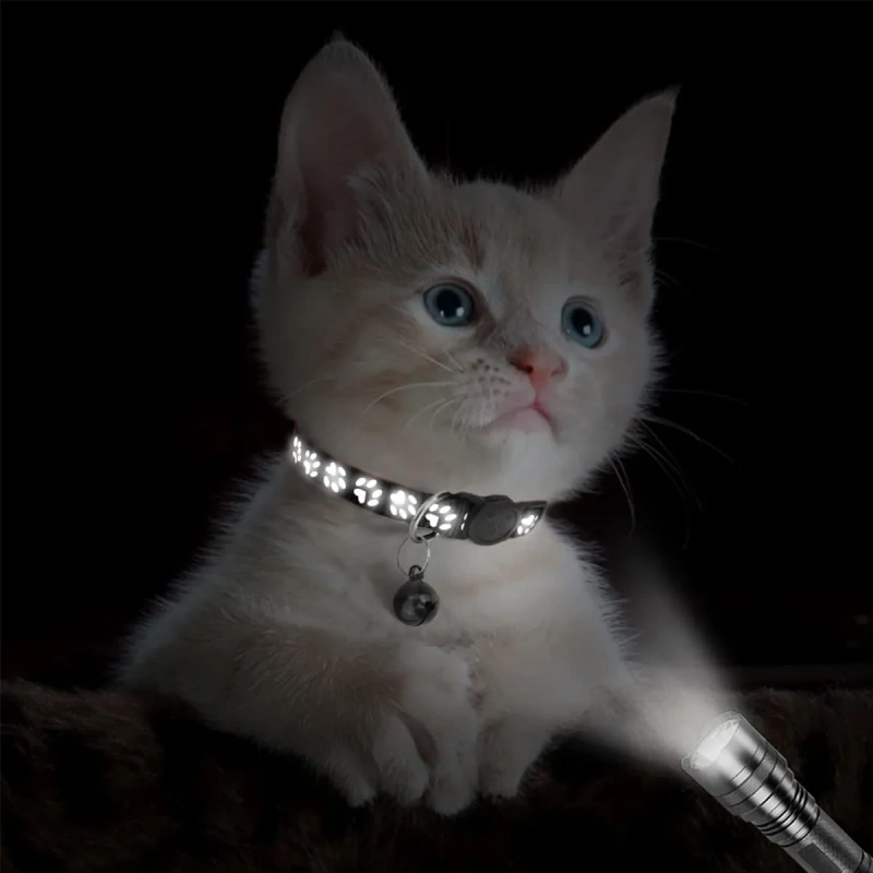 2-Pack Reflective Cat Collars with Bell - Adjustable Safety Breakaway Buckle for Small Pets, Kitten & Puppy (Glow in The Dark, L
