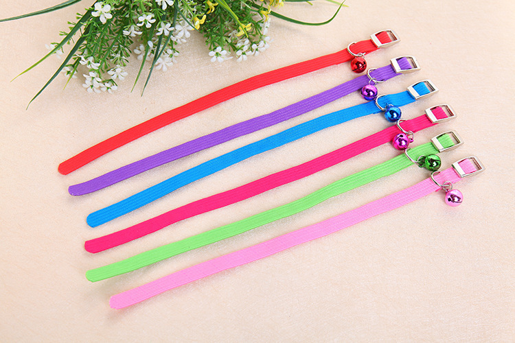 Elastic cat collar