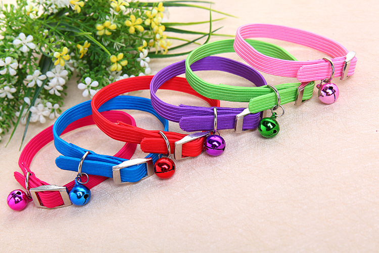 Elastic cat collar