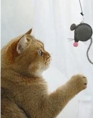Interactive Grey Mouse Cat Teaser Wand with Long Tassel Tail - Catnip Infused Pet Toy for Kittens