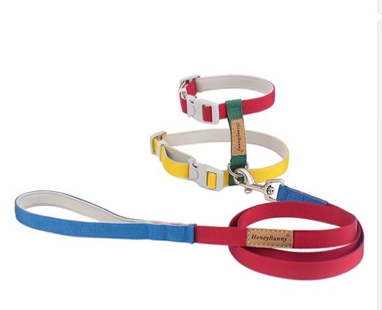 Colorful cat harness