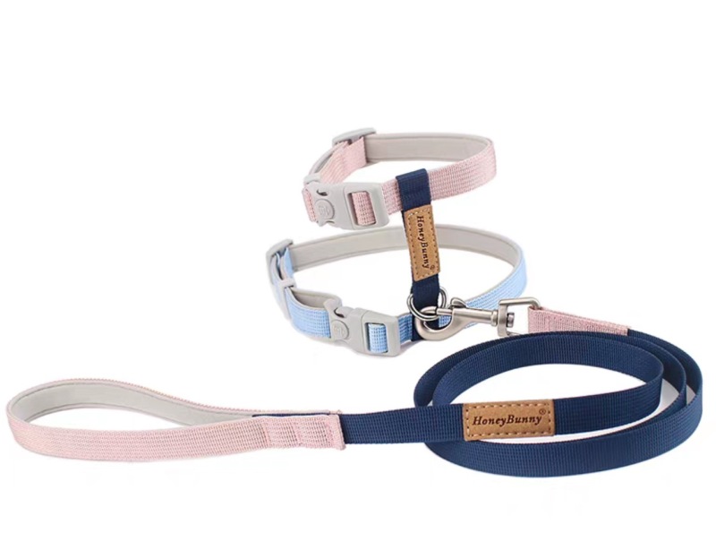 Colorful cat harness