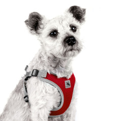 Pet Dog Harness Mesh Breathable Summer