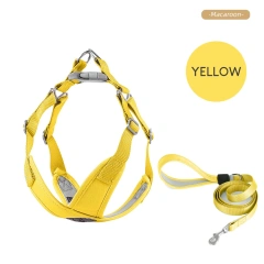 Small Dog Harness X-Shape Summer Macaron Dog Harness and Leash Set Breathable Choke Free No Pull Puppy Vest Harness for Yorkies