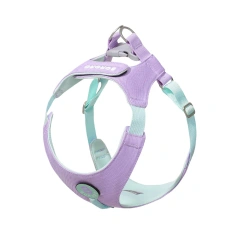Dopamine Color Pet Harness & Leash Set - Breathable No-Pull Vest for Small/Medium Dogs,  Ultra-Lightweight