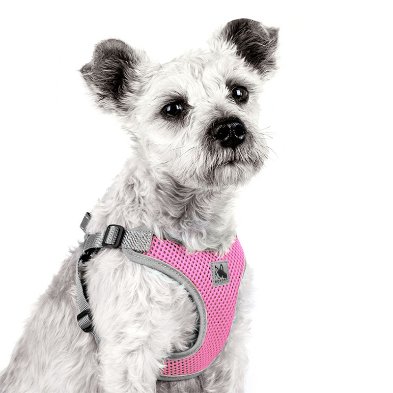 Pet Dog Harness Mesh Breathable Summer