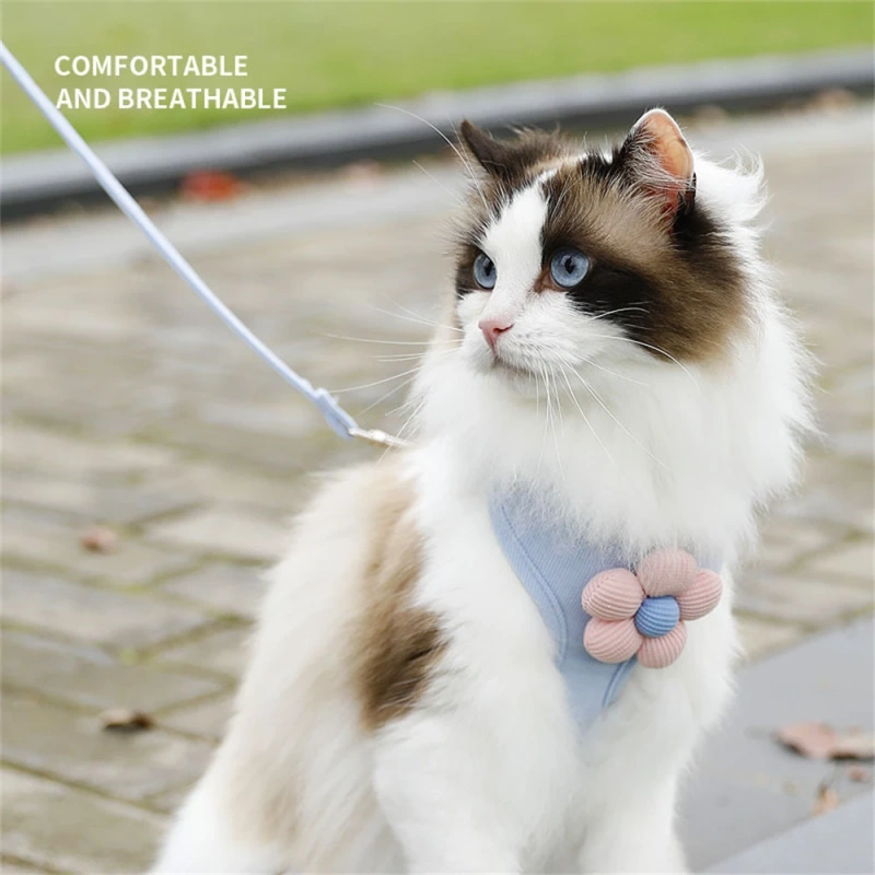 Pet Vest Traction Rope Set Adjustable Removable For Puppy Cats Outdoor Walking Cartoon Accessories Pet Chest And Back Protection