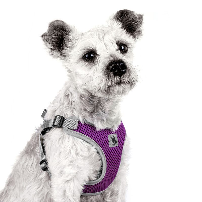 Pet Dog Harness Mesh Breathable Summer