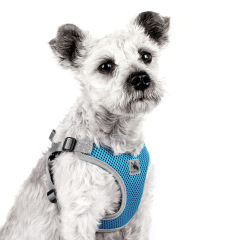 Pet Dog Harness Mesh Breathable Summer