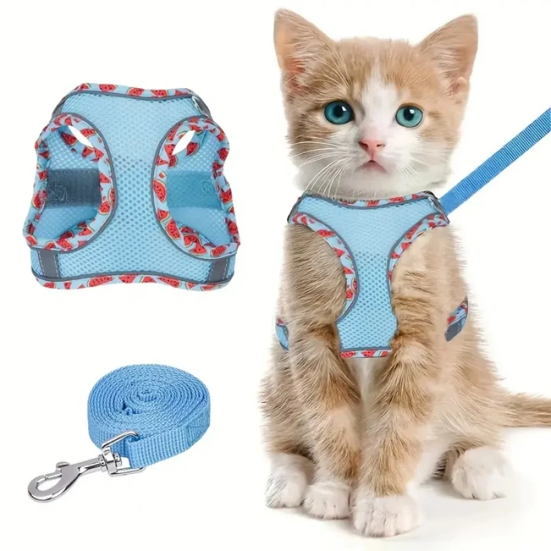 DH010Adjustable soft cat vest with safety harness and escape prevention set, comfortable outdoor vest with breathable fabric and