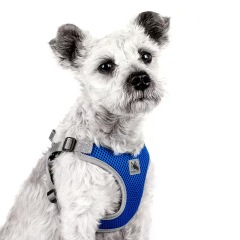 Pet Dog Harness Mesh Breathable Summer