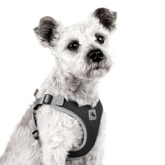 Pet Dog Harness Mesh Breathable Summer