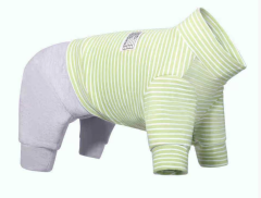Modern Classic Winter Base Layer for Dogs