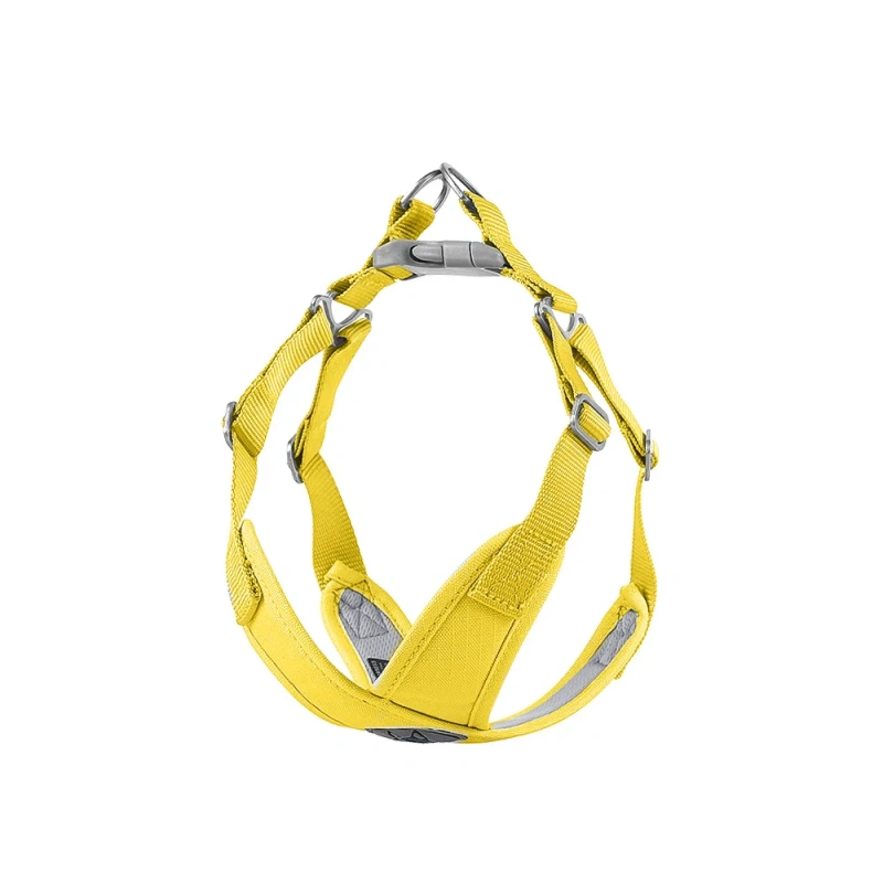 Small Dog Harness X-Shape Summer Macaron Dog Harness and Leash Set Breathable Choke Free No Pull Puppy Vest Harness for Yorkies