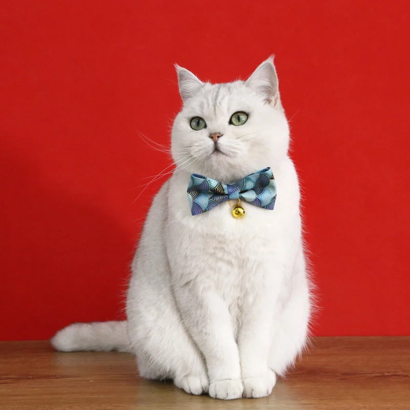 Printable Cat Collar Bell With Paper Label Bowtie Dog Cats Rabbit Collars Necklace Wholesale Supply