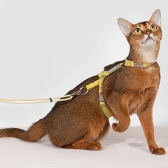 No Pull Small Dog Harness and Leash Set Puppy Soft Vest Harness Neck Chest Adjustable Reflective Lightweight Harness Anti-Twist