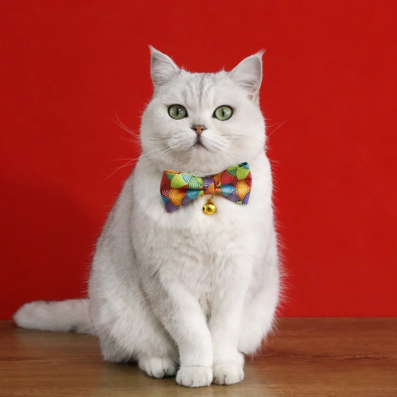 Printable Cat Collar Bell With Paper Label Bowtie Dog Cats Rabbit Collars Necklace Wholesale Supply