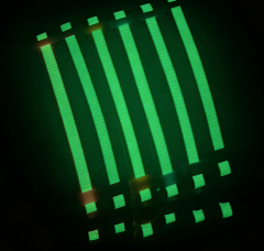 Cat glow-in-the-dark anti-suffocation collar