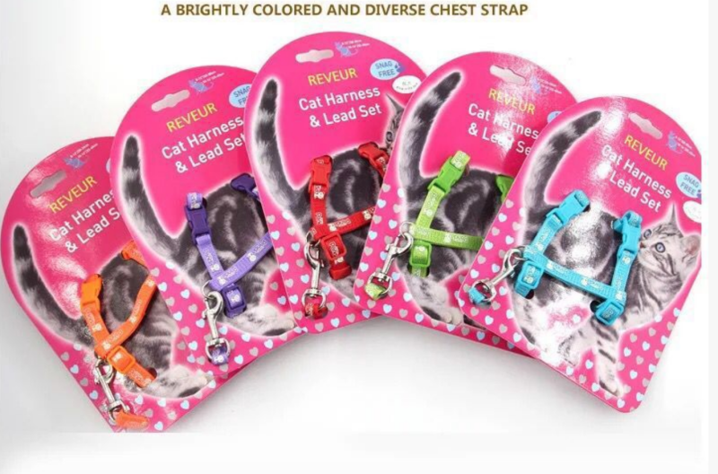 Cat glow-in-the-dark chest strap