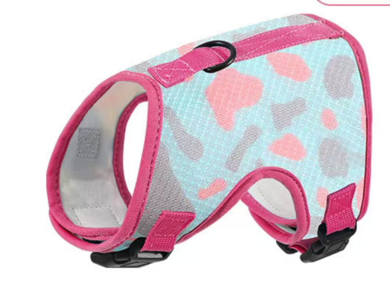 Pet Harness And Leash Set