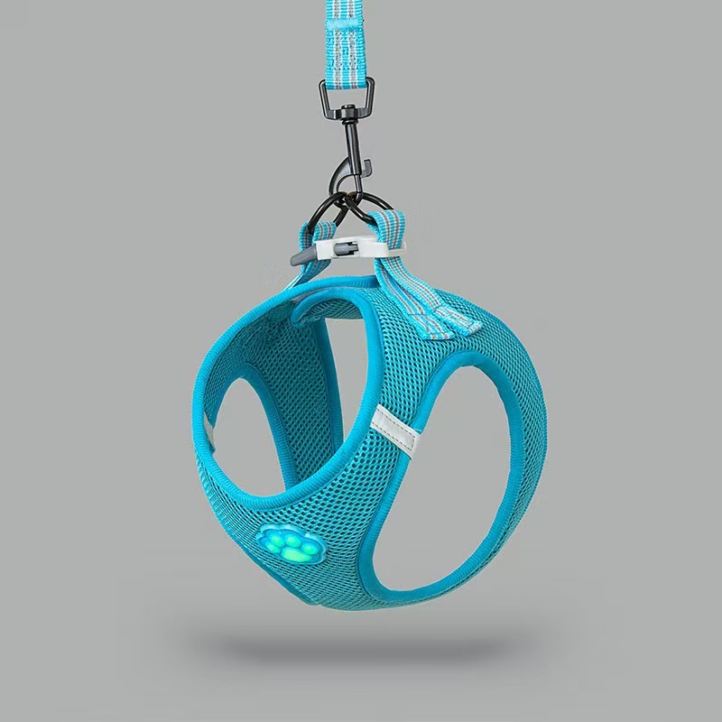 Pet glow-in-the-dark paw print harness