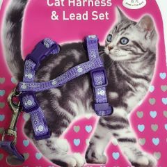 Cat glow-in-the-dark chest strap