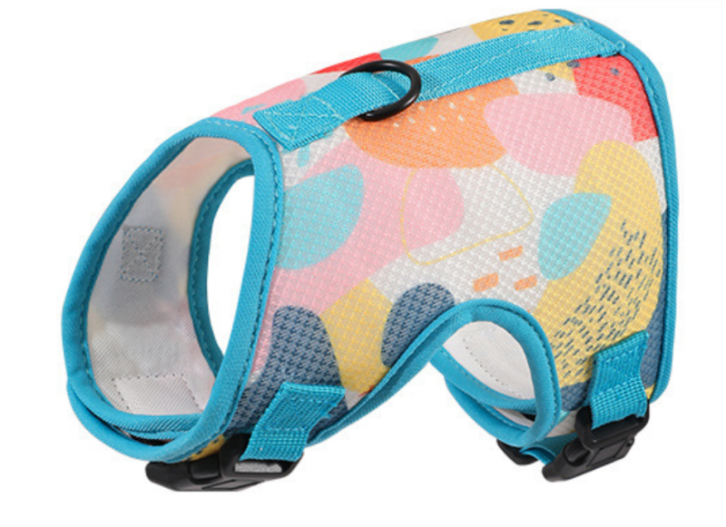 Pet Harness And Leash Set
