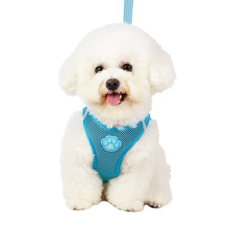 Pet glow-in-the-dark paw print harness