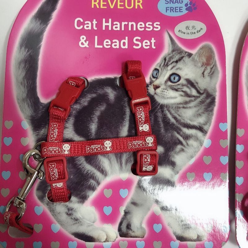 Cat glow-in-the-dark chest strap