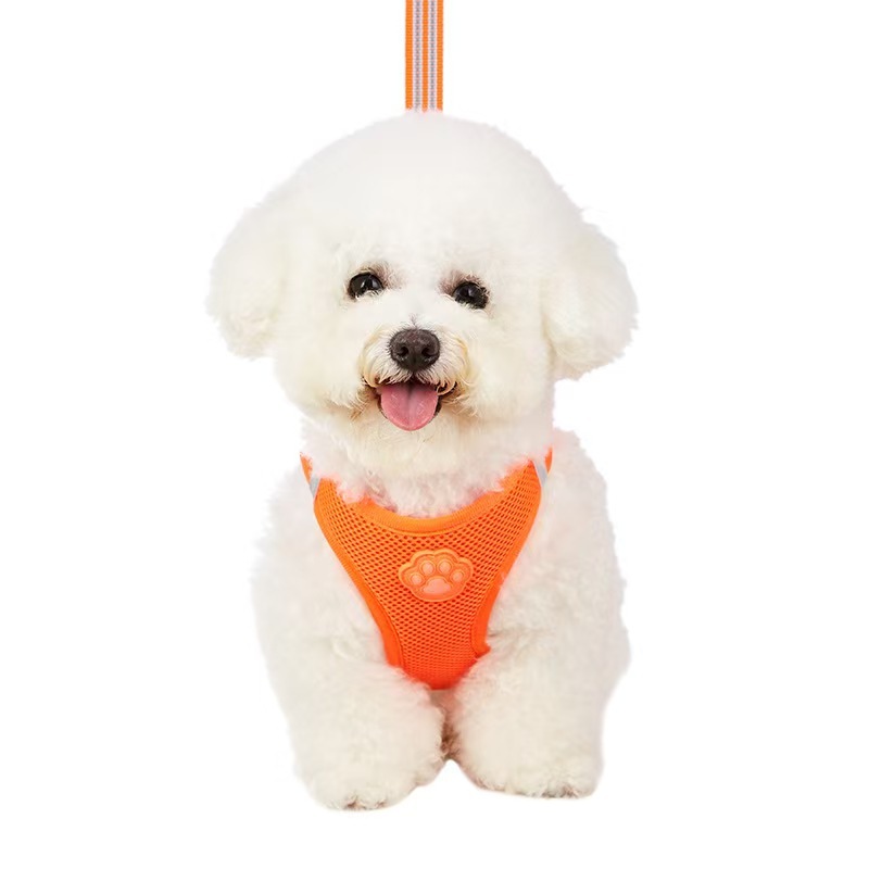 Pet glow-in-the-dark paw print harness