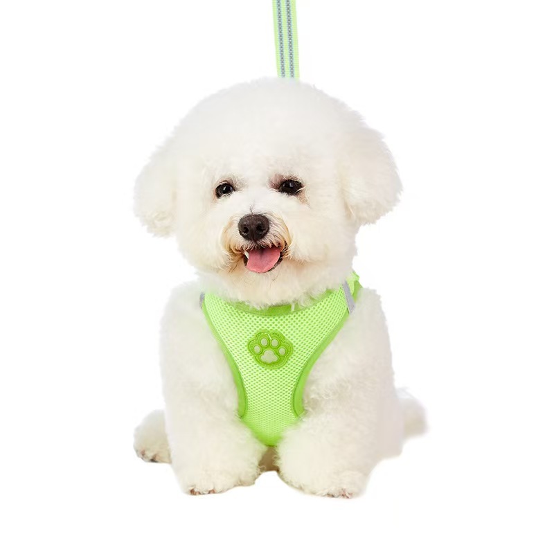 Pet glow-in-the-dark paw print harness