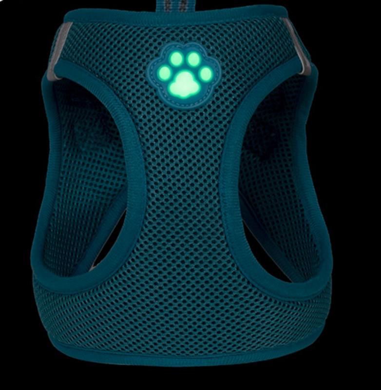 Pet glow-in-the-dark paw print harness