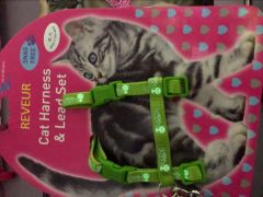 Cat glow-in-the-dark chest strap