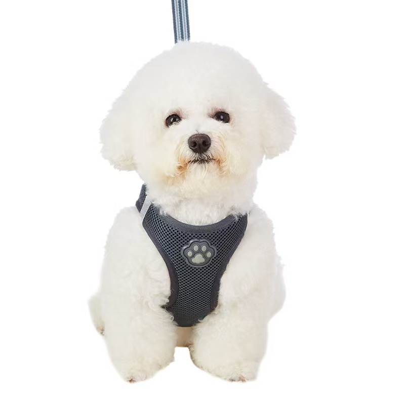 Pet glow-in-the-dark paw print harness