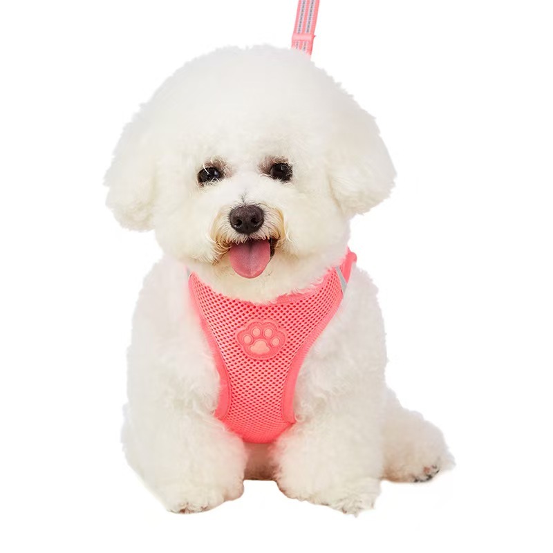 Pet glow-in-the-dark paw print harness