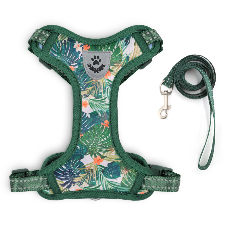 Pet  Cat Harness with Leash Set