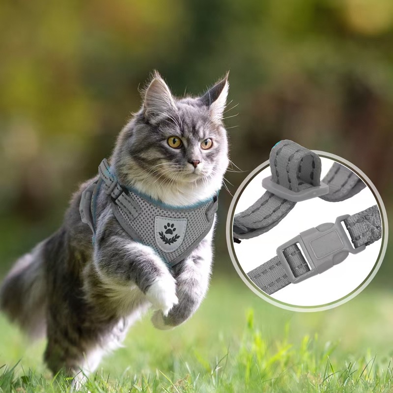 Pet  Harness with Leash Set